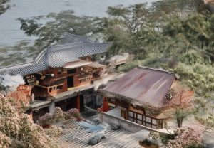 哈里森巴恩斯：从新秀到明星球员的成长之路与篮球生涯回顾